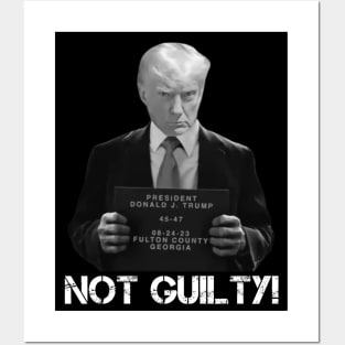 Trump Not Guilty Posters and Art